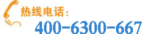 13931904319